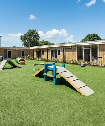 Просторий ігровий майданчик у сучасному притулку для тварин: зелена трава, снаряди для аджиліті та чисті вольєри на задньому плані.